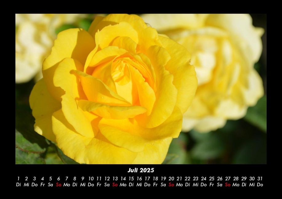 additionalImage11