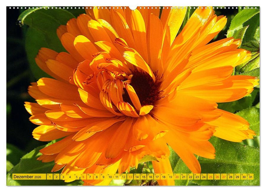 additionalImage3