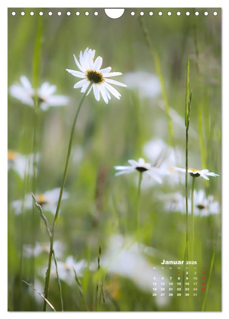 additionalImage6