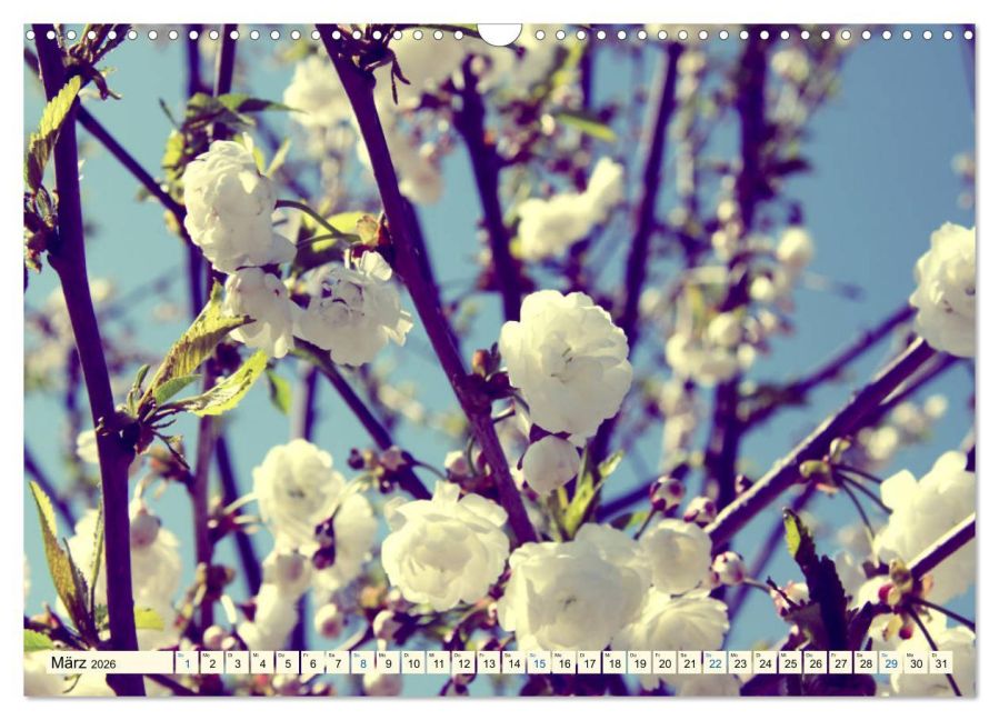 additionalImage8