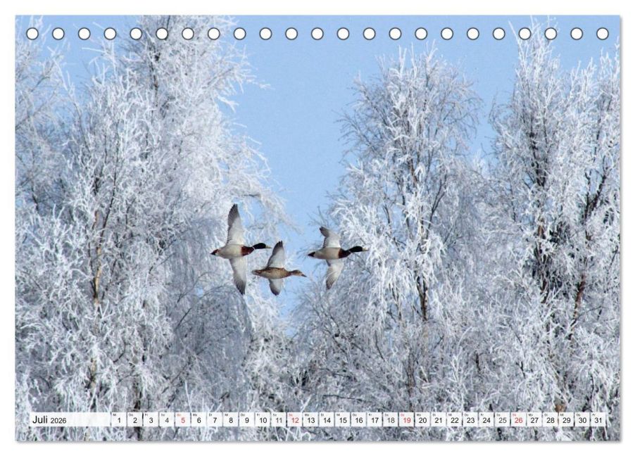 additionalImage12