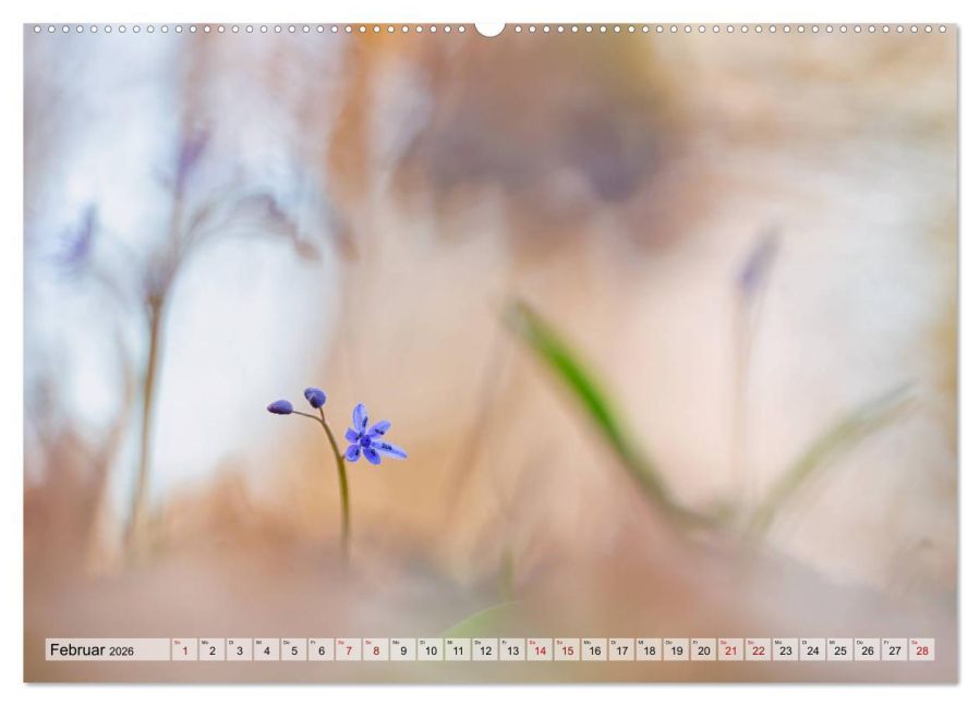 additionalImage6