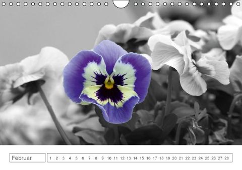 additionalImage2