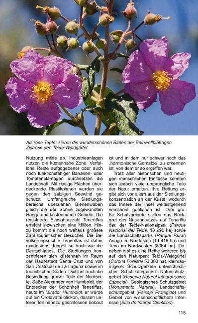 additionalImage10