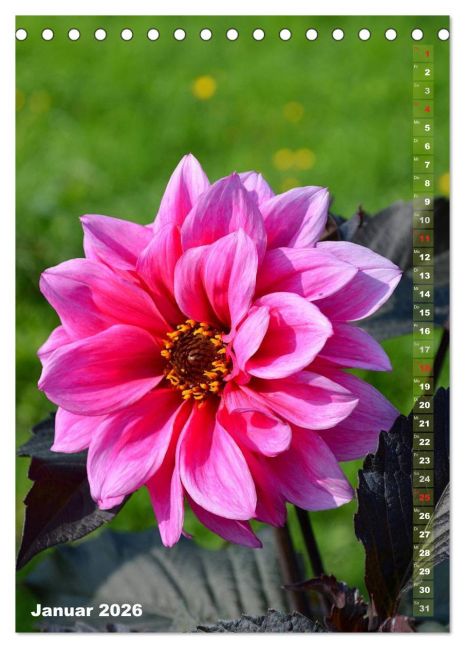 additionalImage6