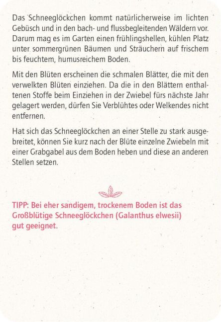 additionalImage2