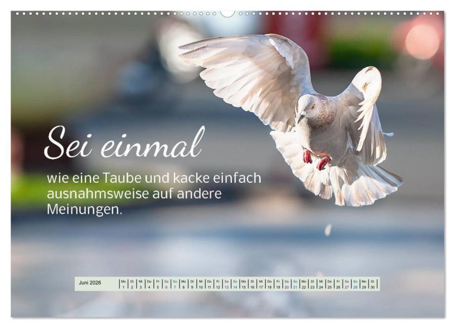 additionalImage11