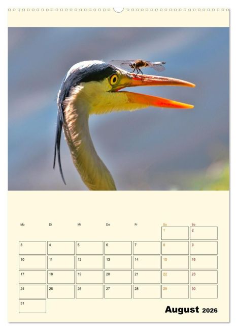 additionalImage12
