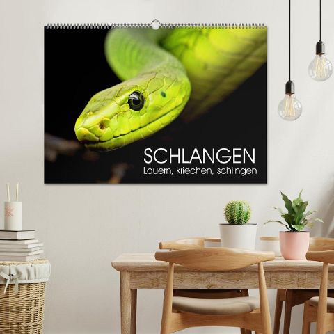 additionalImage1