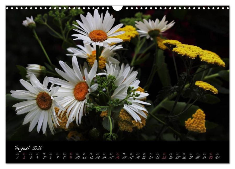 additionalImage13