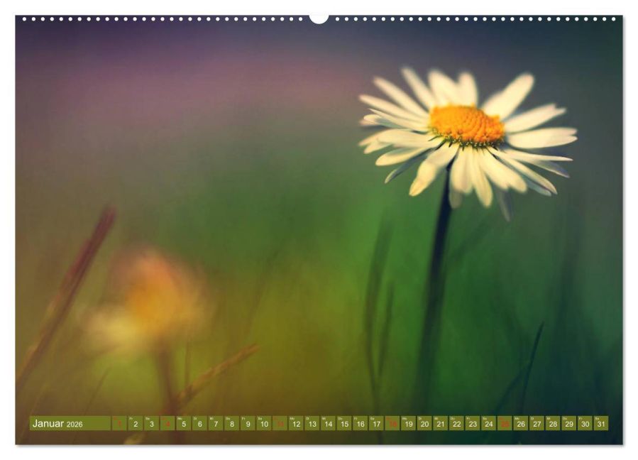 additionalImage6