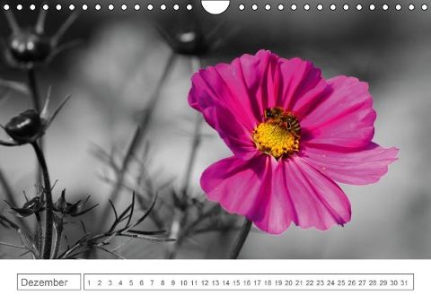 additionalImage12