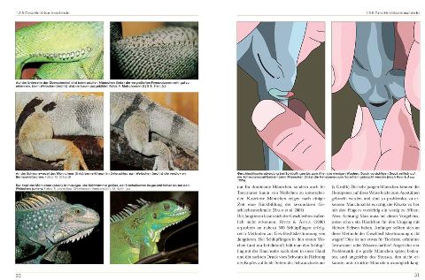 additionalImage2