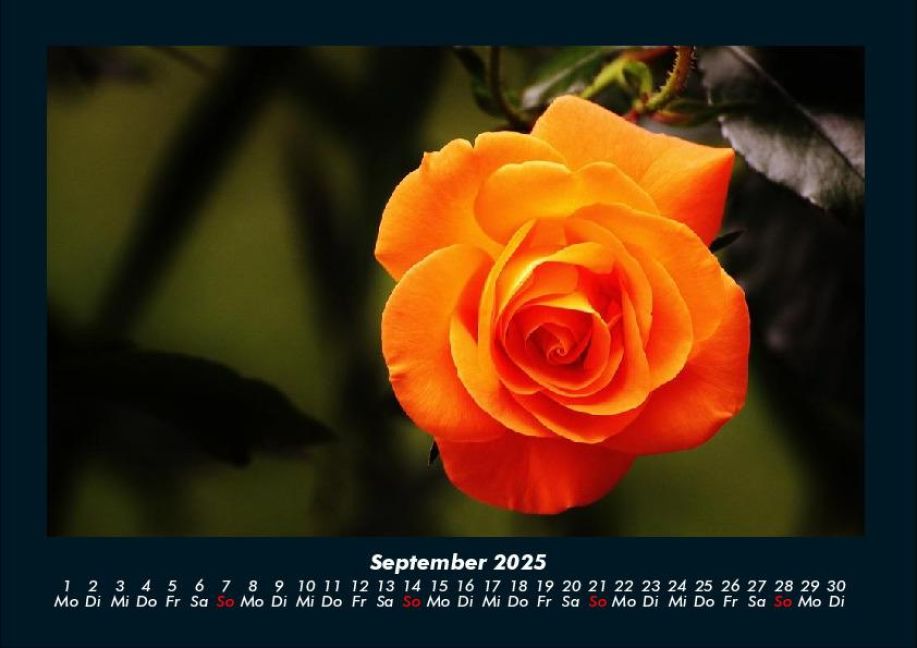 additionalImage1