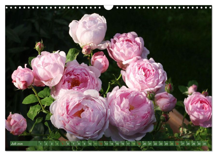 additionalImage12