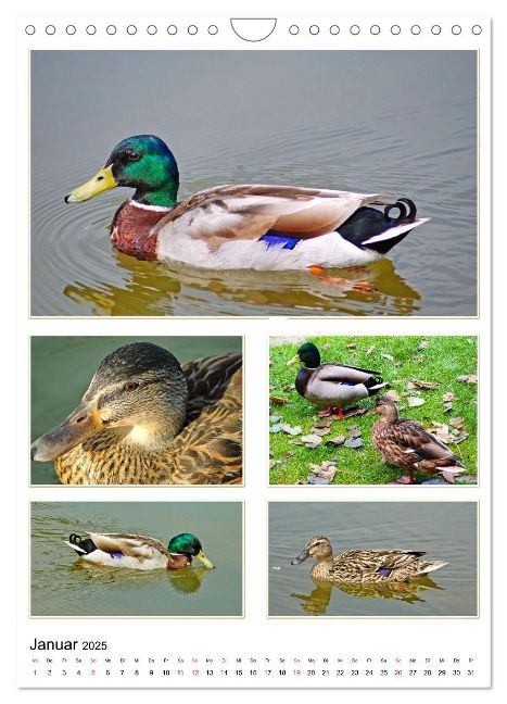 additionalImage3