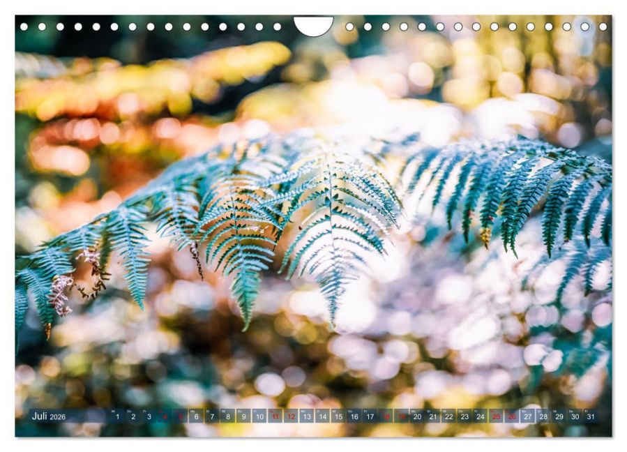 additionalImage12
