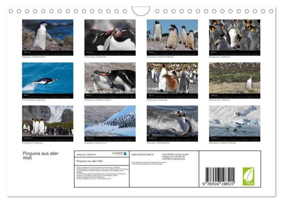 additionalImage5