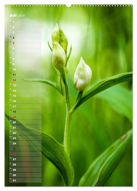 additionalImage11