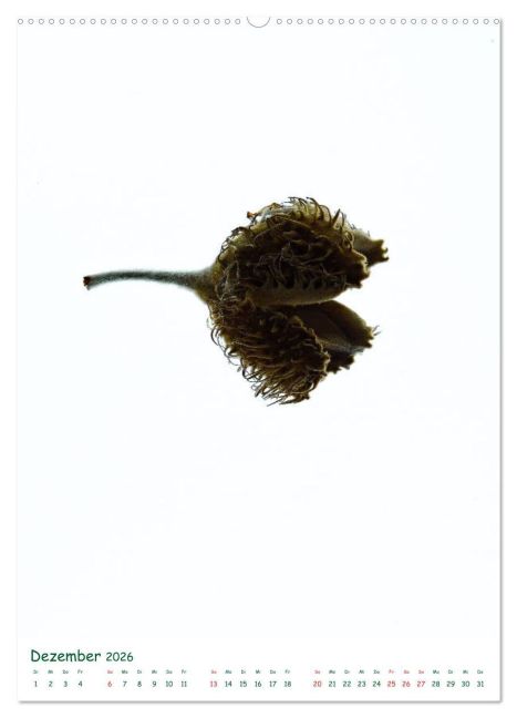 additionalImage4