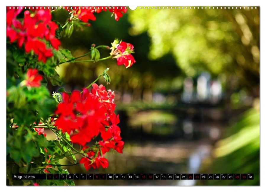 additionalImage12
