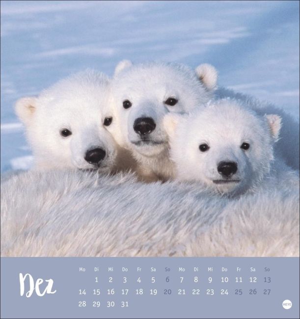 additionalImage12