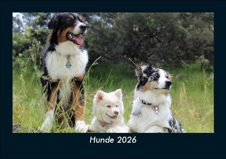 Hunde 2026 Fotokalender DIN A5 - Tobias Becker