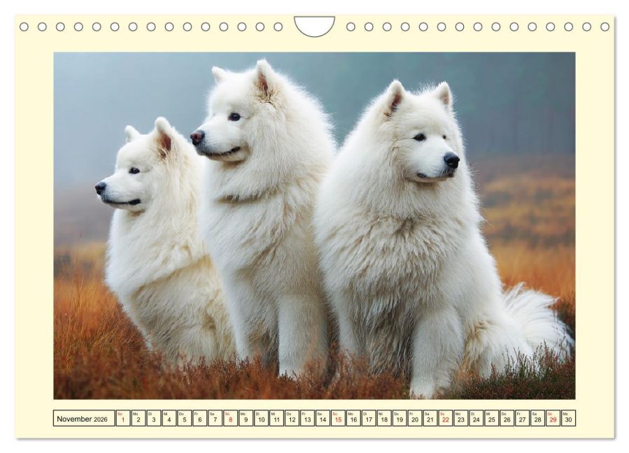 additionalImage3