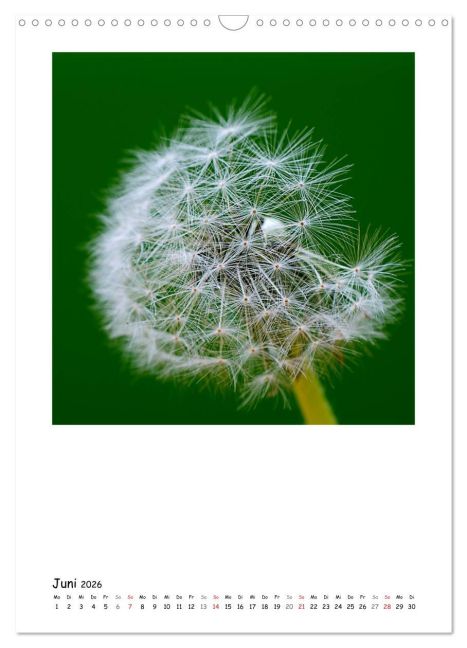 additionalImage11