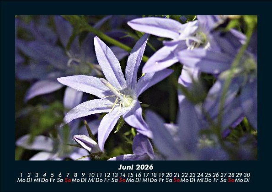 additionalImage10