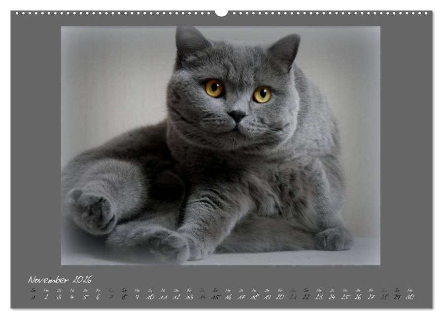 additionalImage2
