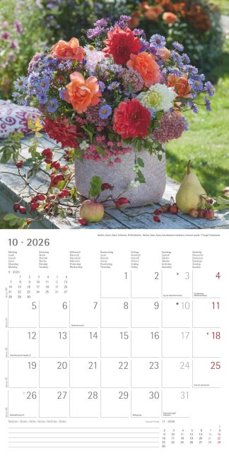 additionalImage11