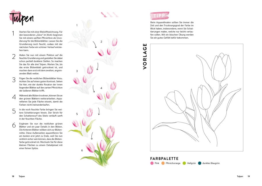 additionalImage2