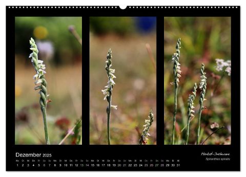 additionalImage3