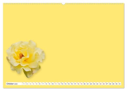 additionalImage1