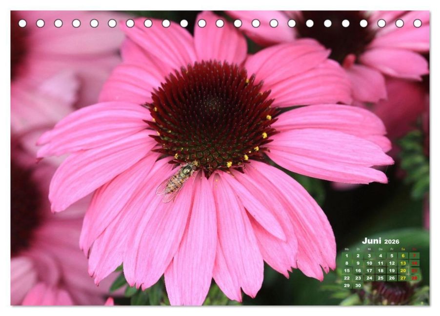 additionalImage11