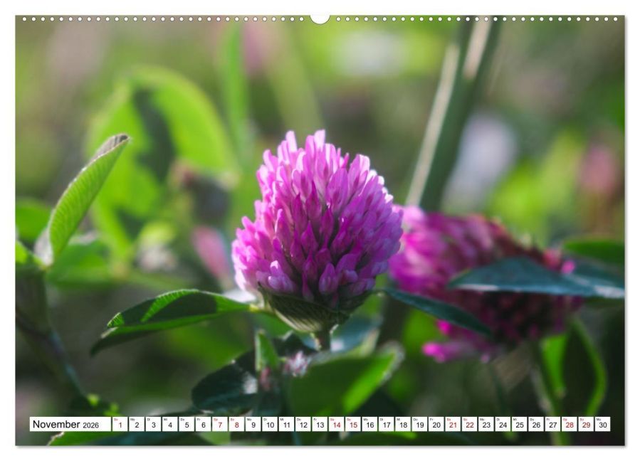 additionalImage2