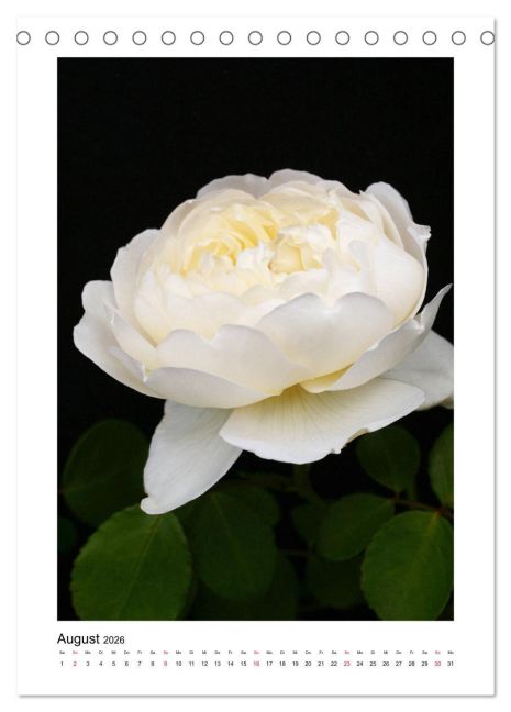 additionalImage13