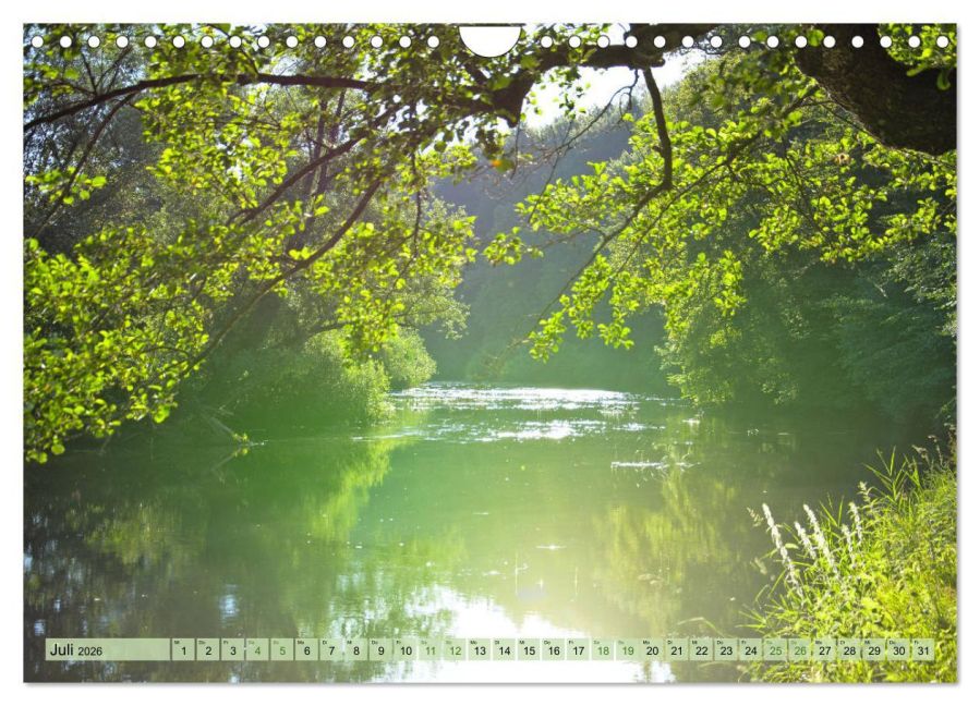 additionalImage12
