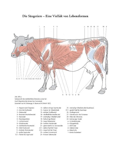 additionalImage3