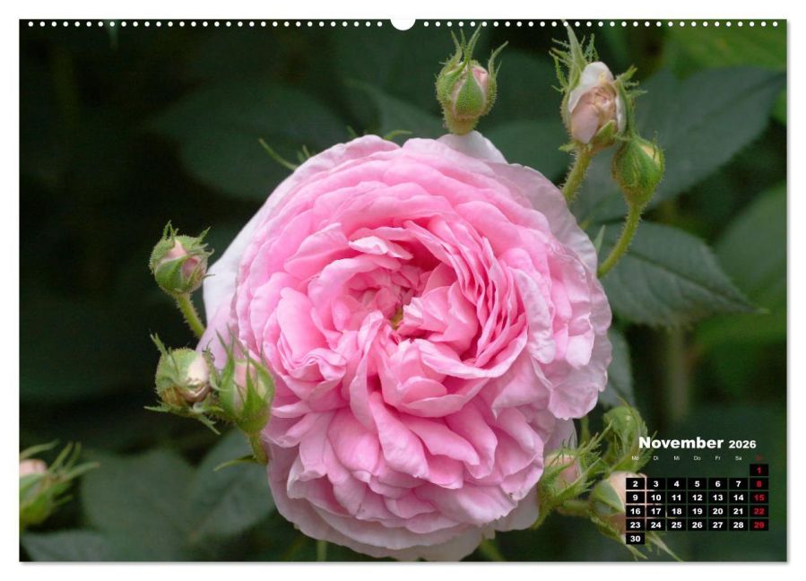 additionalImage3