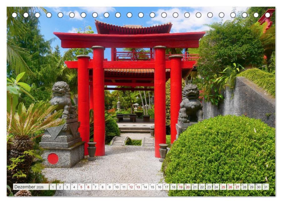 additionalImage4