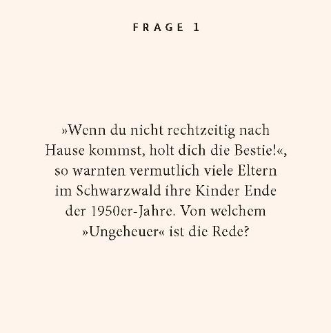 additionalImage1