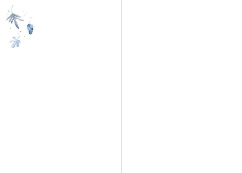 additionalImage3