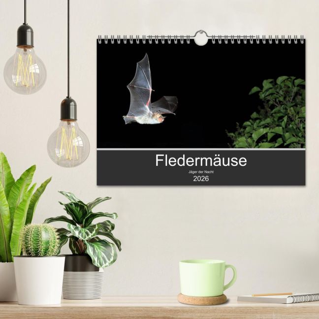additionalImage1