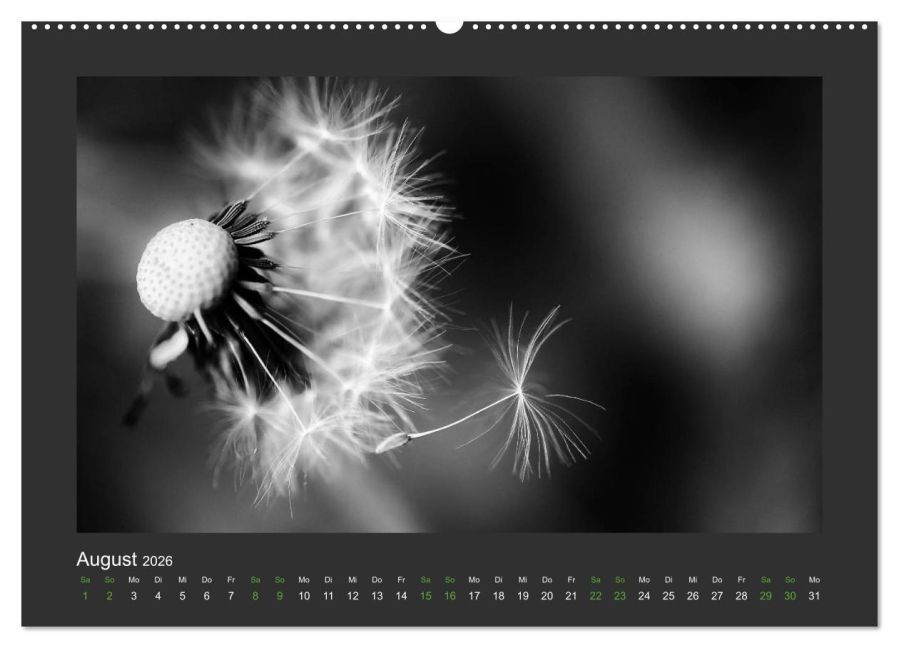 additionalImage12
