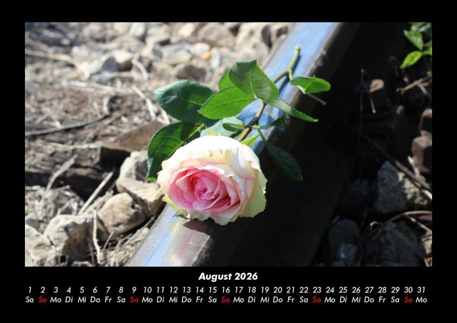 additionalImage12