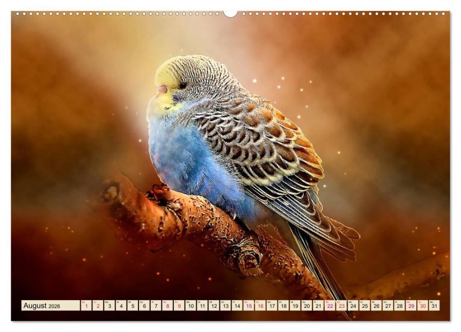 additionalImage12