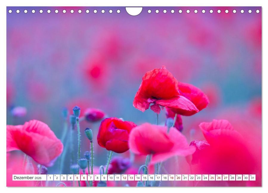 additionalImage4