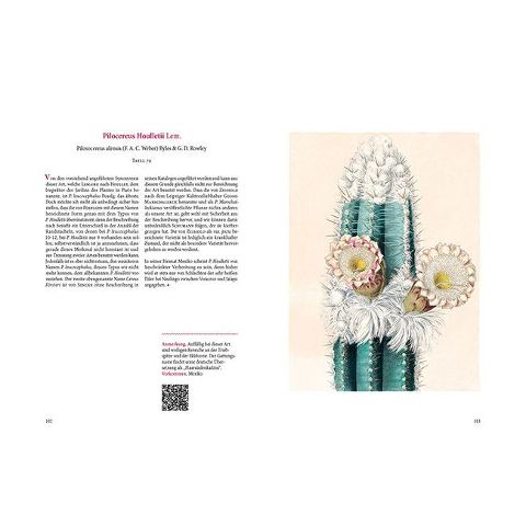 additionalImage9